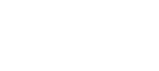 PALM OILS True guide